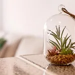 Dayely Апартаменты Коральео