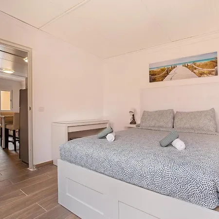 Dayely * Коральео