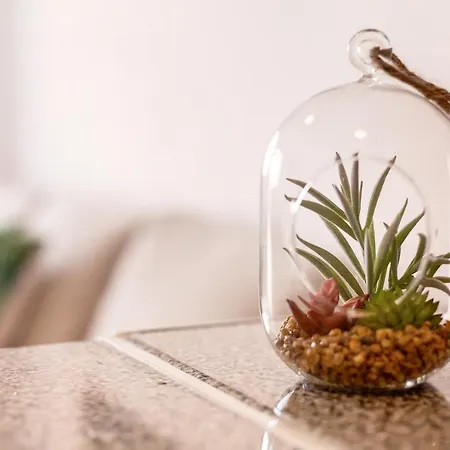 Dayely Apartment Corralejo